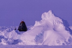 6-Polar-sur-la-banquise